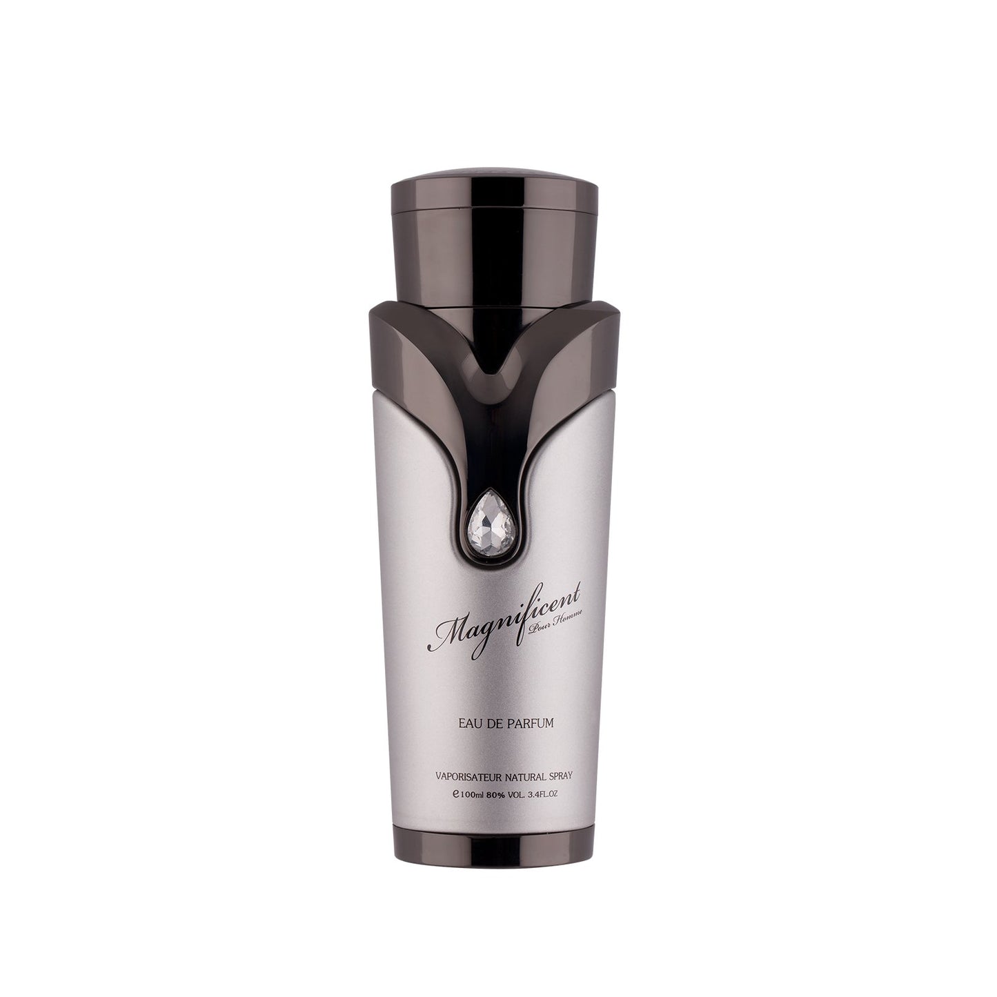 MAGNIFICENT POUR HOMME MAN